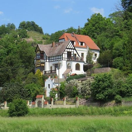 Ferienwohnung Elbsommer Am Weinberg Meißen Exterior foto