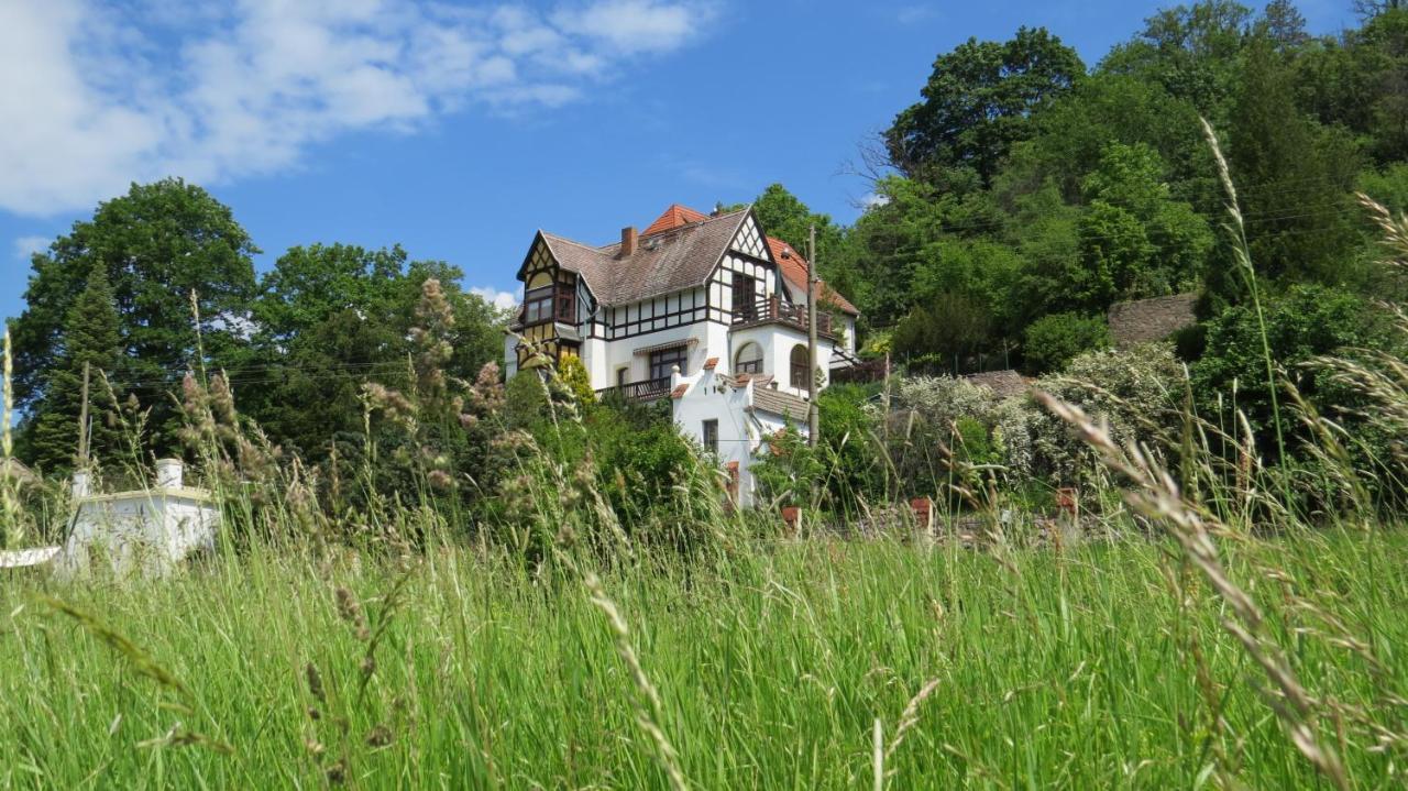 Ferienwohnung Elbsommer Am Weinberg Meißen Exterior foto